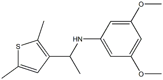 N-[1-(2,5-dimethylthiophen-3-yl)ethyl]-3,5-dimethoxyaniline Struktur