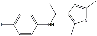 N-[1-(2,5-dimethylthiophen-3-yl)ethyl]-4-iodoaniline Struktur