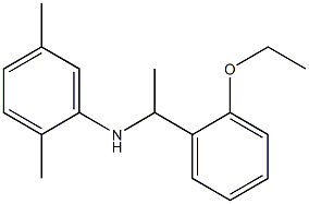 N-[1-(2-ethoxyphenyl)ethyl]-2,5-dimethylaniline Struktur