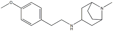 N-[2-(4-methoxyphenyl)ethyl]-8-methyl-8-azabicyclo[3.2.1]octan-3-amine Struktur