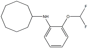 N-[2-(difluoromethoxy)phenyl]cyclooctanamine Struktur