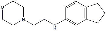 N-[2-(morpholin-4-yl)ethyl]-2,3-dihydro-1H-inden-5-amine Struktur