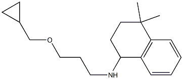 N-[3-(cyclopropylmethoxy)propyl]-4,4-dimethyl-1,2,3,4-tetrahydronaphthalen-1-amine Struktur