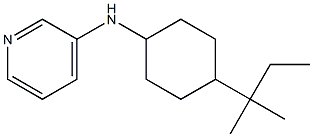 N-[4-(2-methylbutan-2-yl)cyclohexyl]pyridin-3-amine Struktur