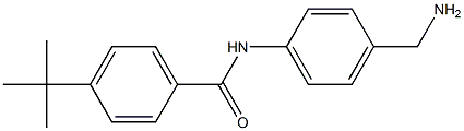 N-[4-(aminomethyl)phenyl]-4-tert-butylbenzamide Struktur