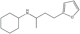 N-[4-(furan-2-yl)butan-2-yl]cyclohexanamine Struktur