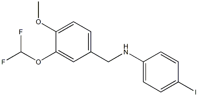 N-{[3-(difluoromethoxy)-4-methoxyphenyl]methyl}-4-iodoaniline Struktur