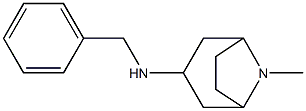 N-benzyl-8-methyl-8-azabicyclo[3.2.1]octan-3-amine Struktur