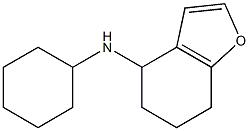 N-cyclohexyl-4,5,6,7-tetrahydro-1-benzofuran-4-amine Struktur