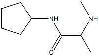 N-cyclopentyl-2-(methylamino)propanamide Struktur