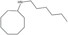 N-hexylcyclooctanamine Struktur