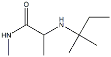 N-methyl-2-[(2-methylbutan-2-yl)amino]propanamide Struktur