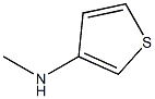 N-methyl-N-tetrahydrothien-3-ylamine Struktur