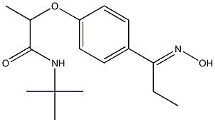 N-tert-butyl-2-{4-[1-(hydroxyimino)propyl]phenoxy}propanamide Struktur