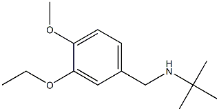 tert-butyl[(3-ethoxy-4-methoxyphenyl)methyl]amine Struktur