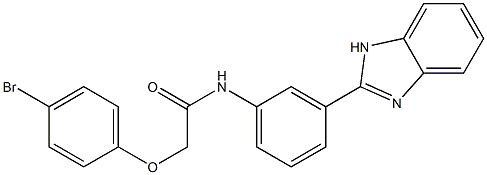 N-[3-(1H-benzimidazol-2-yl)phenyl]-2-(4-bromophenoxy)acetamide Struktur