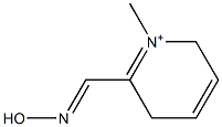 2,5-Dihydro-1-methyl-6-[(hydroxyimino)methyl]pyridinium Struktur