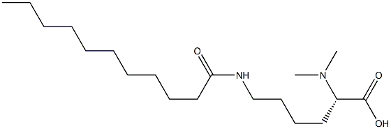 N6-Undecanoyl-N2,N2-dimethyllysine Struktur