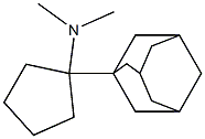 N,N-Dimethyl-1-(adamantan-1-yl)cyclopentan-1-amine Struktur