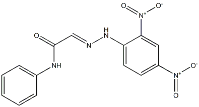 N-Phenyl-2-[2-(2,4-dinitrophenyl)hydrazono]acetamide Struktur