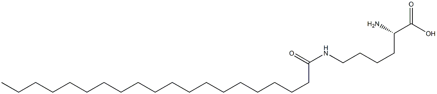 N6-Icosanoyllysine Struktur