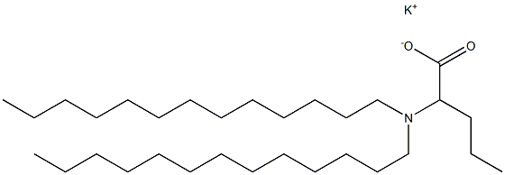 2-(Ditridecylamino)valeric acid potassium salt Struktur