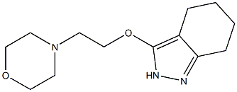 3-(2-Morpholinoethoxy)-4,5,6,7-tetrahydro-2H-indazole Struktur