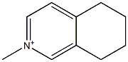 2-Methyl-5,6,7,8-tetrahydroisoquinolin-2-ium Struktur