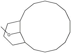 17-Methoxybicyclo[11.3.1]heptadecane Struktur