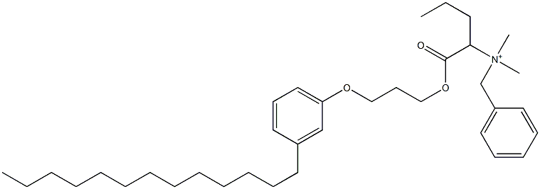 N,N-Dimethyl-N-benzyl-N-[1-[[3-(3-tridecylphenyloxy)propyl]oxycarbonyl]butyl]aminium Struktur