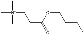 N,N,N-Trimethyl-3-butoxy-3-oxo-1-propanaminium Struktur