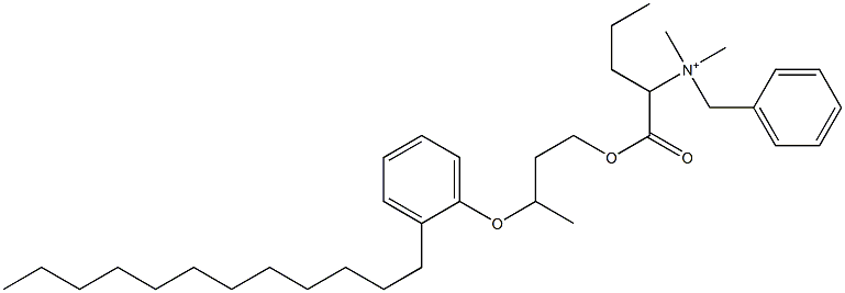 N,N-Dimethyl-N-benzyl-N-[1-[[3-(2-dodecylphenyloxy)butyl]oxycarbonyl]butyl]aminium Struktur