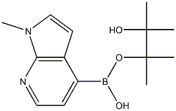 1-Methyl-7-azaindole-4-boronic acid pinacol ester Struktur