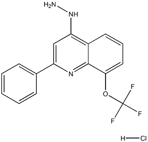 4-Hydrazino-2-phenyl-8-trifluoromethoxyquinoline Hydrochloride Struktur