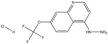 4-Hydrazino-7-trifluoromethoxyquinoline Hydrochloride Struktur