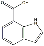 7-indole carboxylic acid Struktur