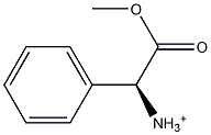 2-phenylglycinium methyl ester Struktur