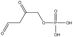 (2,4-dioxo)butyl phosphate Struktur