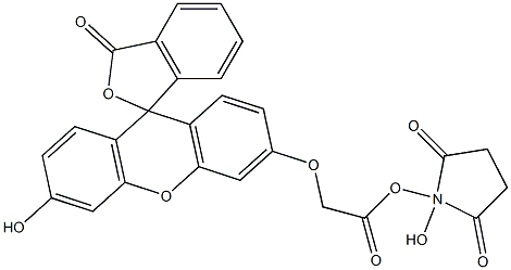 N-hydroxysuccinimidyl fluorescein-O-acetate Struktur