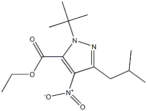 1-(1,1-DIMETHYLETHYL)-3-(2-METHYLPROPYL)-4-NITRO-1H-PYRAZOLE-5-CARBOXYLICACIDETHYLESTER Struktur