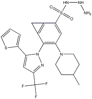 N1-hydrazino(4-methylpiperidino)methylidene-4-[5-(2-thienyl)-3-(trifluoromethyl)-1H-pyrazol-1-yl]benzene-1-sulfonamide Struktur