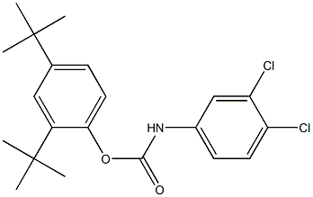 2,4-di(tert-butyl)phenyl N-(3,4-dichlorophenyl)carbamate Struktur