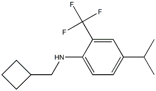 N-(cyclobutylmethyl)-2-(trifluoromethyl)-4-isopropylbenzenamine Struktur