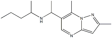 (1-{2,7-dimethylpyrazolo[1,5-a]pyrimidin-6-yl}ethyl)(pentan-2-yl)amine Struktur