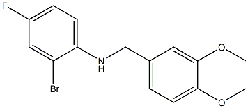 (2-bromo-4-fluorophenyl)(3,4-dimethoxyphenyl)methylamine Struktur