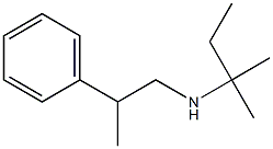 (2-methylbutan-2-yl)(2-phenylpropyl)amine Struktur