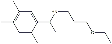 (3-ethoxypropyl)[1-(2,4,5-trimethylphenyl)ethyl]amine Struktur