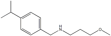 (3-methoxypropyl)({[4-(propan-2-yl)phenyl]methyl})amine Struktur