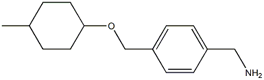 (4-{[(4-methylcyclohexyl)oxy]methyl}phenyl)methanamine Struktur