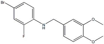 (4-bromo-2-fluorophenyl)(3,4-dimethoxyphenyl)methylamine Struktur